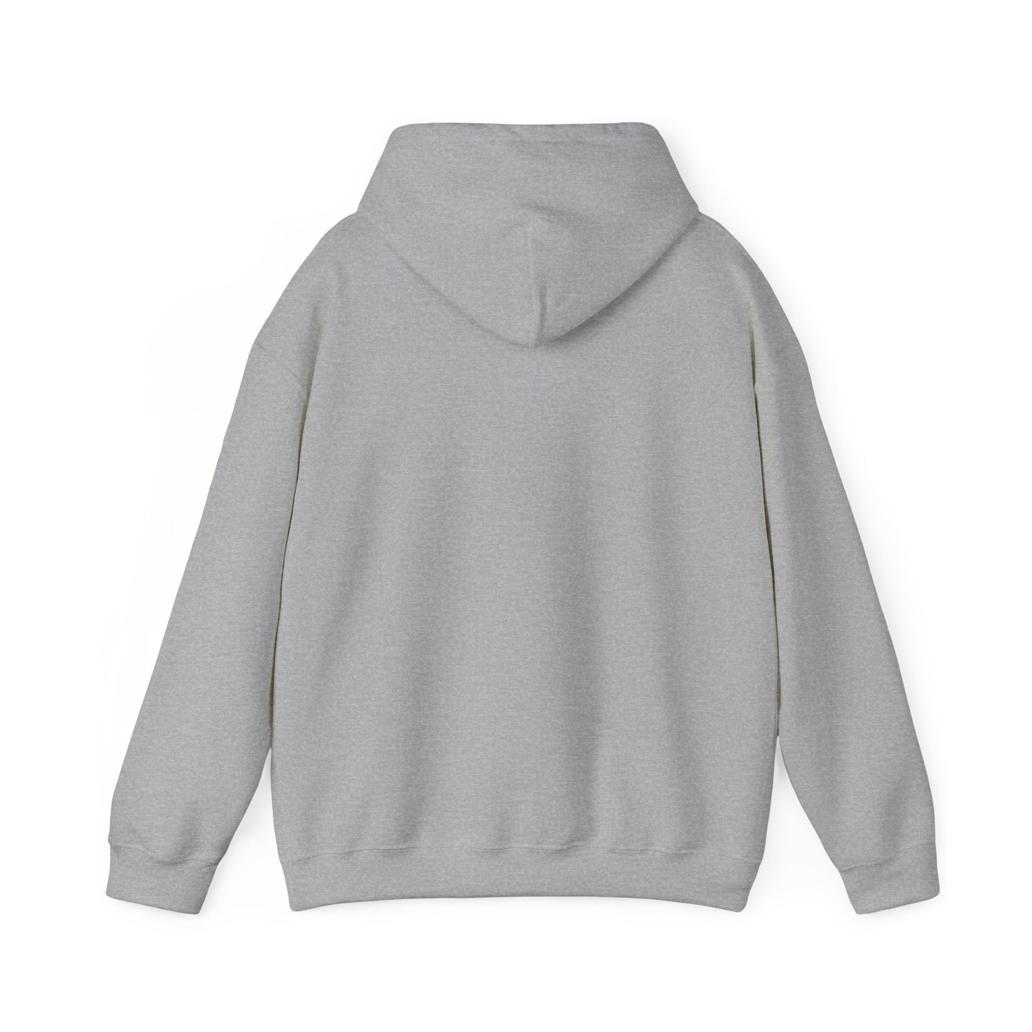 EAM // Unisex Cruiser Hoodie - Social Impact Advocate